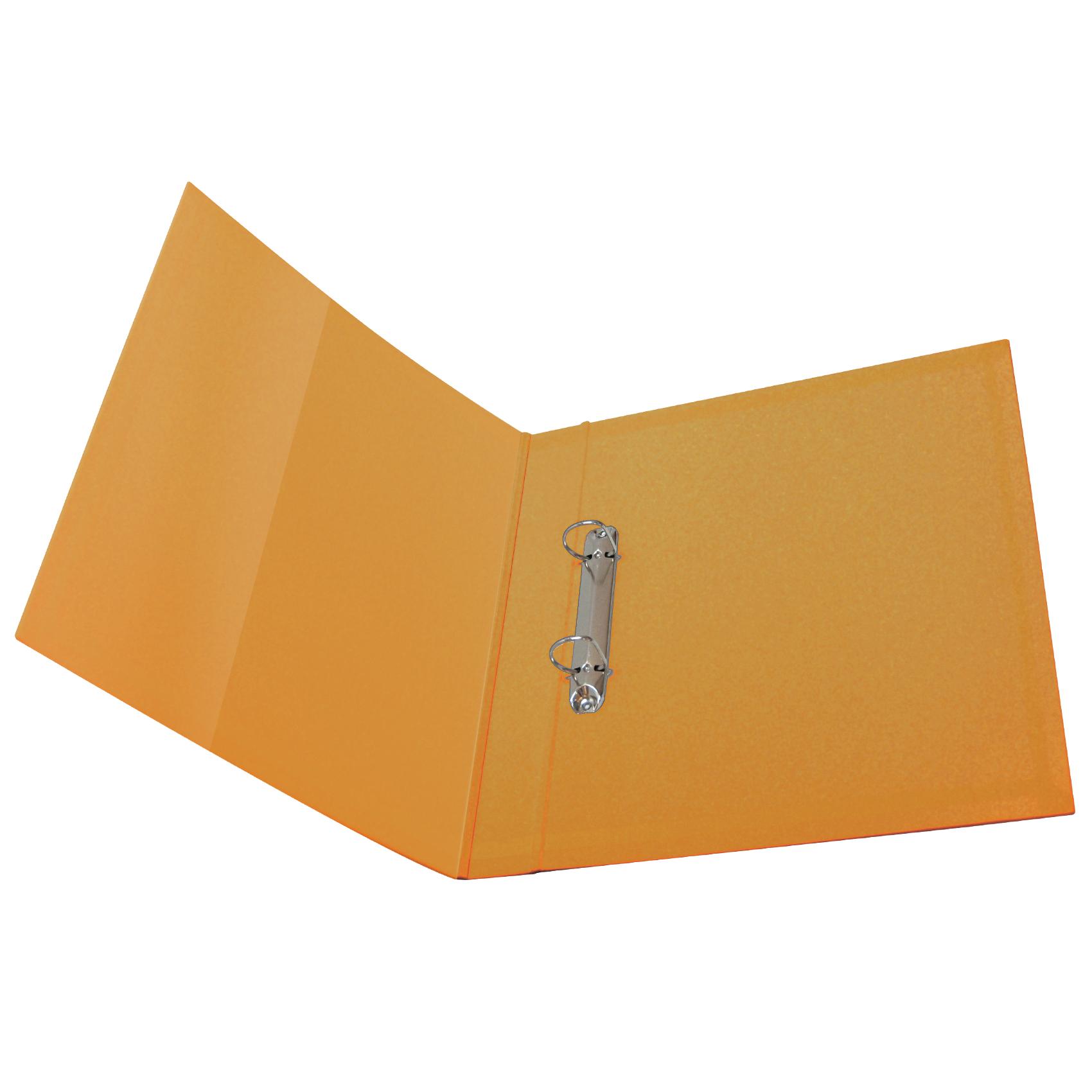 2 Ring Binder D type A4 BlueMY