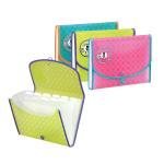 Exp File 13 Pkt-R rock plus BX=12pcs