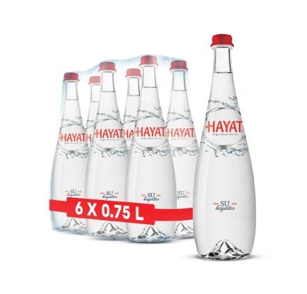 Hayat 750 ml Cam Su x6