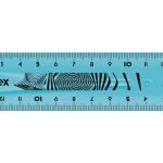Ruler 15cm Twist n Flex