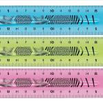 Ruler 20cm Twist n Flex