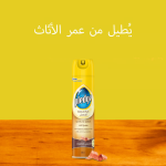 Pledge Furniture Polish Original 300 ml
