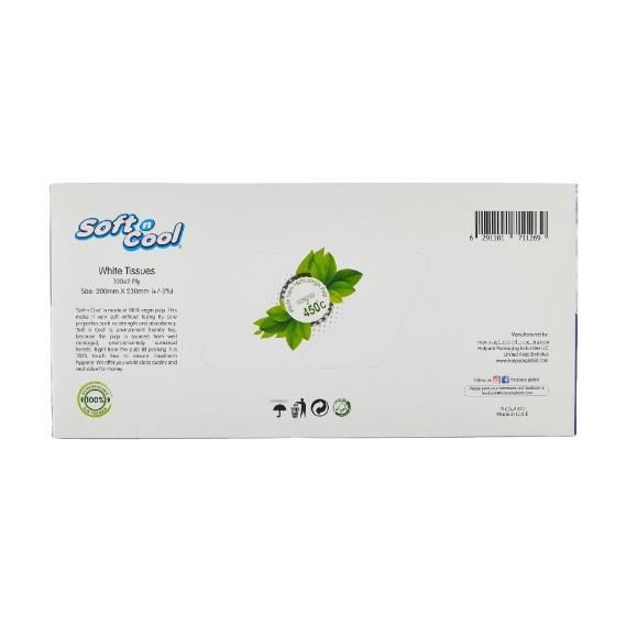 Soft N Cool Facial Tissue 100 Sheets X 2 Ply