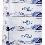 Soft N Cool Facial Tissue 100 Sheets X 2 Ply