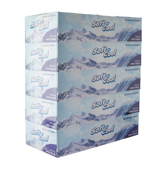 Soft N Cool Facial Tissue 100 Sheets X 2 Ply