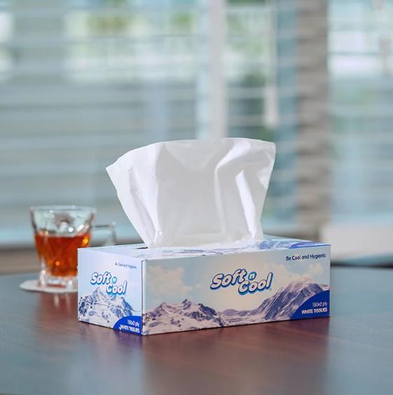 Soft N Cool Facial Tissue 150 Sheets X 2 Ply Wholesale Offer Pack 36 Boxes